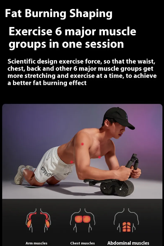 Ab Roller Wheel with Auto-Rebound